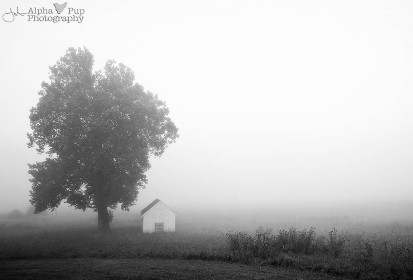 Foggy Morning - Valley Forge NHP