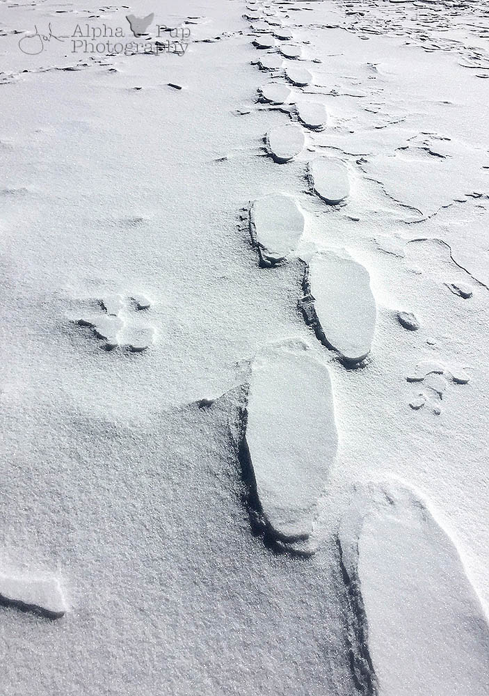 Reverse Footprints in the Snow